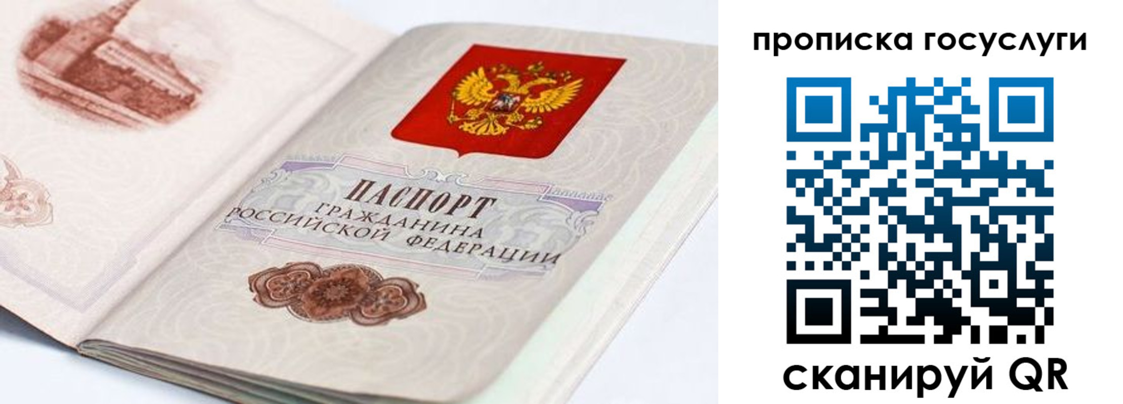 прописка гарантия в Приморско-Ахтарске